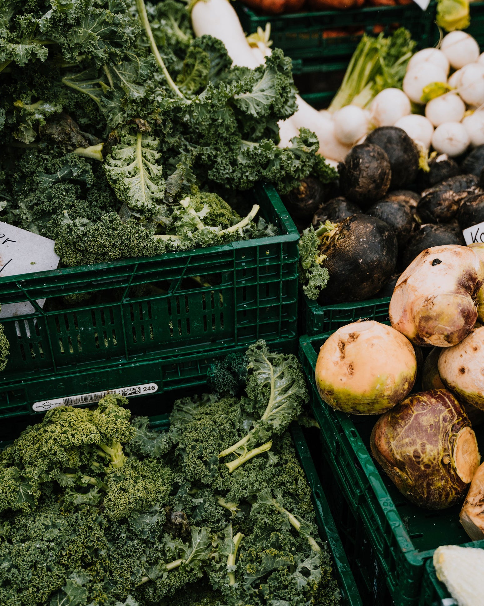 Food Waste – When Edible Food Lands in the Trash.